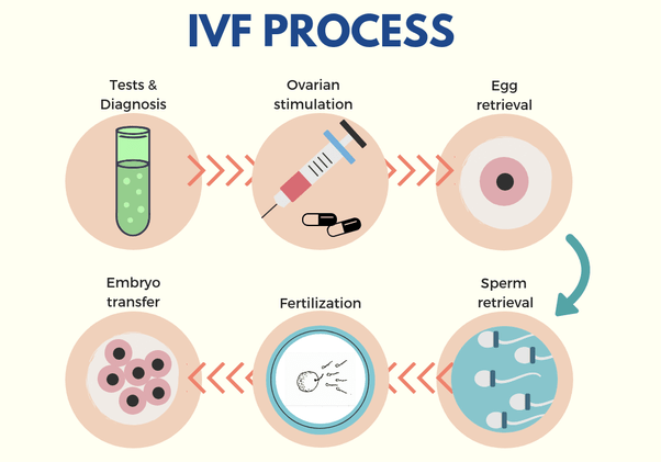 IVF process