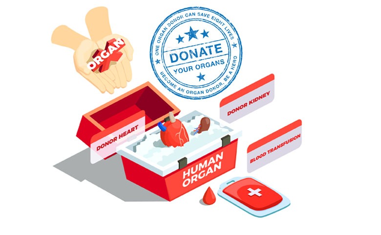 Types of Organ Donation: Types, Facts, After-Effects