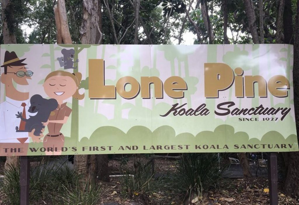 Lone Pine Koala Sanctuary - Brisbane with Qatar Airways