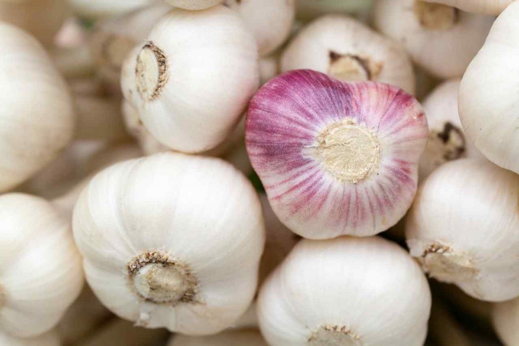 Garlic - Aphrodisiac Foods for Sex